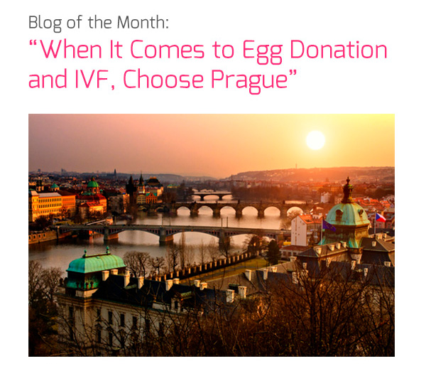 Blog of the Month: ‘When It Comes to Egg Donation and IVF, Choose Prague’