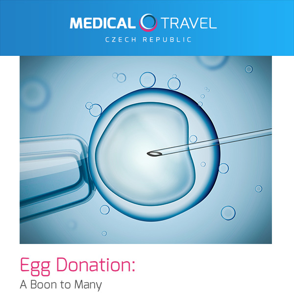 Egg Donation: A Boon to Many