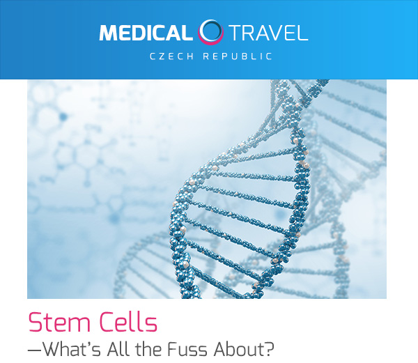 Stem Cells—What’s All the Fuss About?