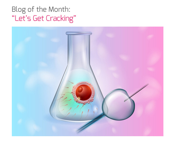 Blog of the Month: `Let’s Get Cracking`