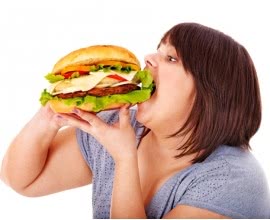 Obesity: A Brief Background