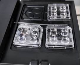 in vitro