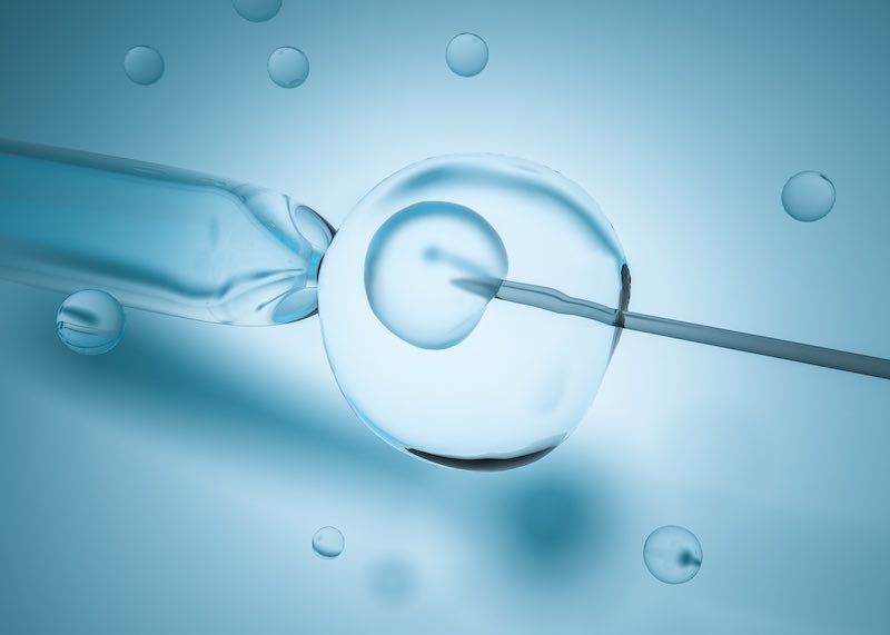 ivf prague