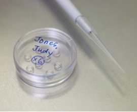 Dolce, Gabbana and IVF